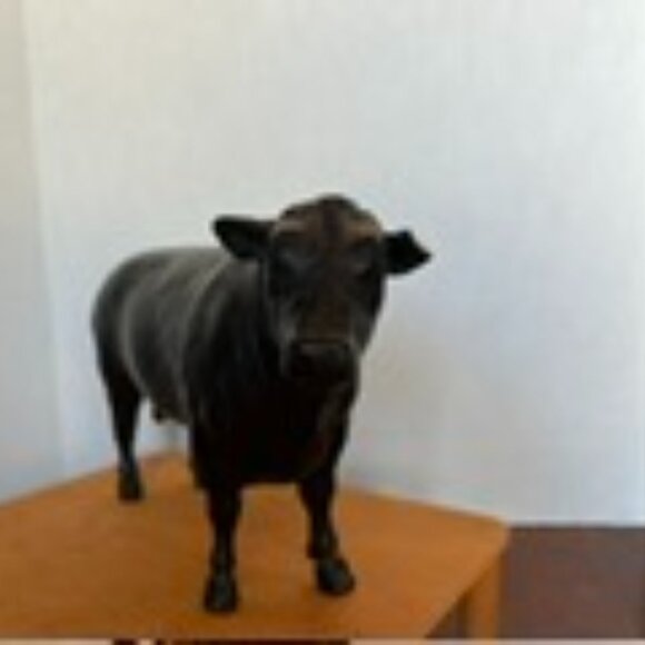 Breyer Bull - Picture 1 of 3